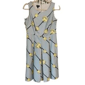 D1 Talbots Petites Floral‎ Striped Sleeveless Dress Fit & Flare 2P